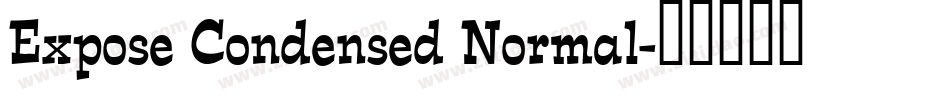 Expose Condensed Normal字体转换